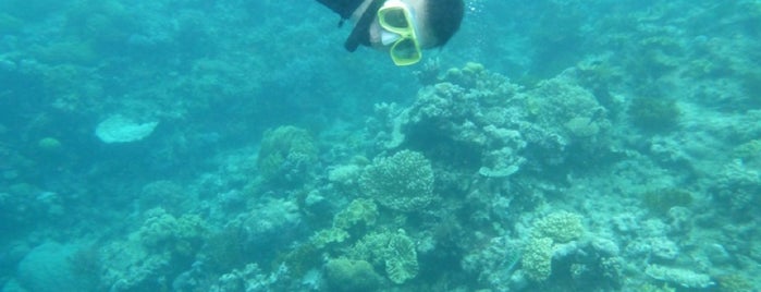 Great Barrier Reef is one of Jas' favorite natural sites.