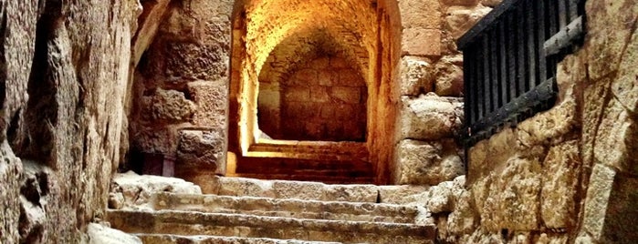 Ajloun Castle is one of Locais salvos de Soly.