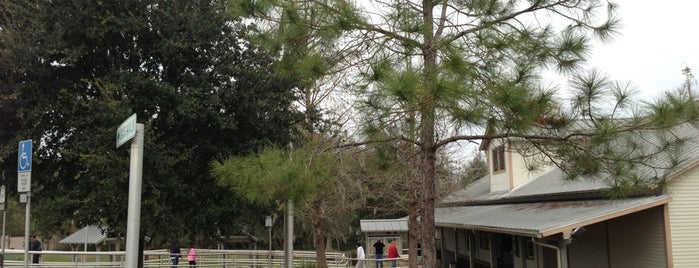 Alachua County Rest Area (Northbound) is one of สถานที่ที่ Lizzie ถูกใจ.