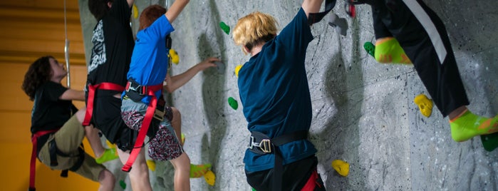 Rockin' Jump The Ultimate Trampoline Park is one of Locais curtidos por Tammy.