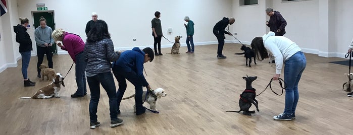 Alderbrook Dog Training Centre is one of Locais curtidos por Paul.