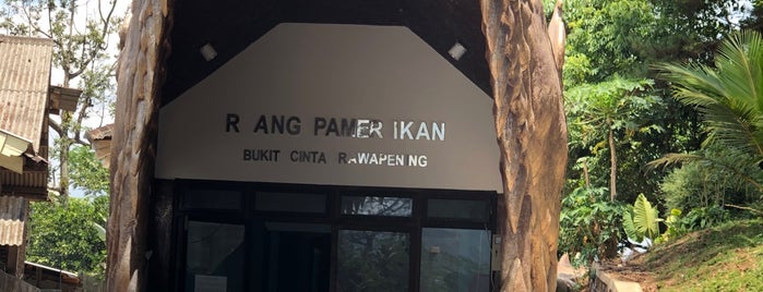 Bukit Cinta is one of Wisata Jateng DIY.