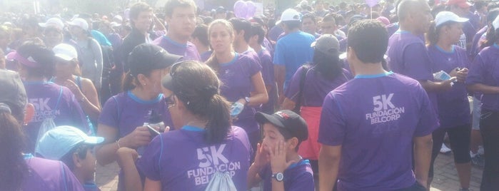 5K - Fundacion Belcorp is one of COORDINADORA NACIONAL ANTICORRUPCION DEL PERU.