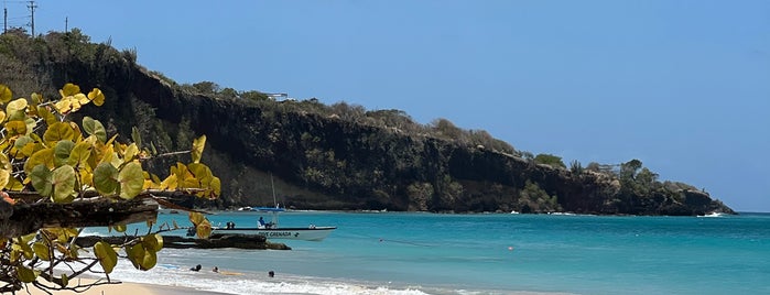 Spice Island Beach Resort is one of Grenada cruise.