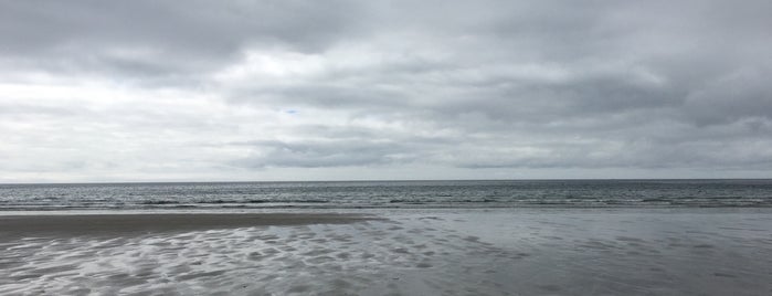Carne Beach is one of Cornwall.