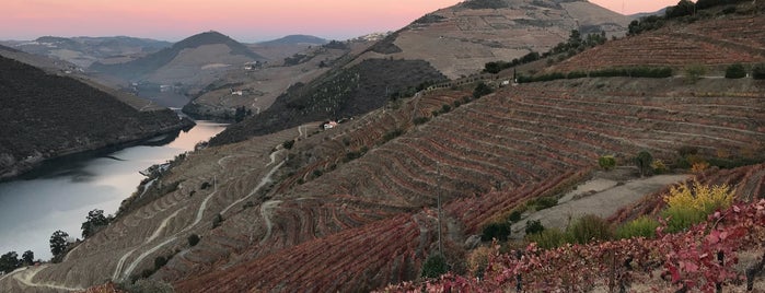 Quinta de Santo António is one of Enoturismo - Wine Turism.