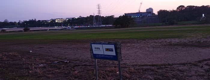 ホーリーピッチ（水府町グラウンド） is one of サッカー練習場・競技場（関東・有料試合不可能）.