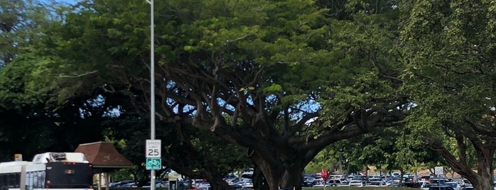 Kapiolani Community College is one of Favorites, Waikiki.