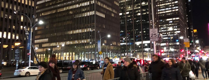 Saturday Night Live Standby Line is one of Great things to do at Rockefeller Center.