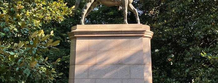 George Washington on Horseback Statue is one of Revolutionary War Trip.