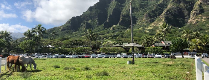 Dharma Initiative: The Tempest Station is one of Lost: in Hawaii.