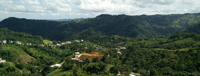 El Cerro, Morovis is one of Posti che sono piaciuti a Endel.