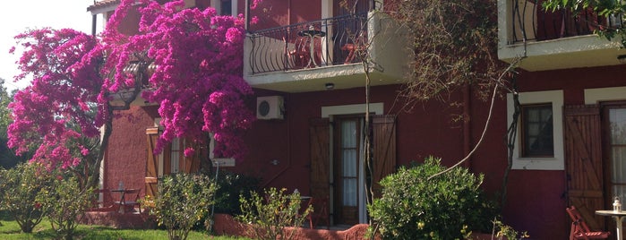 Hotel Dendrolivano Kefalonia is one of Meni’s Liked Places.