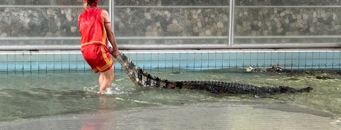 The Million Years Stone Park & Pattaya Crocodile Farm is one of Gittiğim Önemli Yerler.