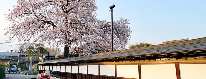 清岩院 is one of 東京の名湧水（多摩）.