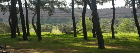 Çamlık Tepesi is one of Lieux qui ont plu à Dr.Gökhan.