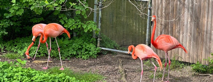 Pittsburgh Zoo & Aquarium is one of Summer list.