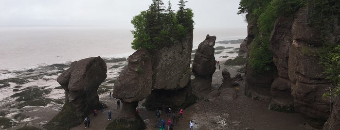 Hopewell Rocks is one of New 4SQ Discoveries.