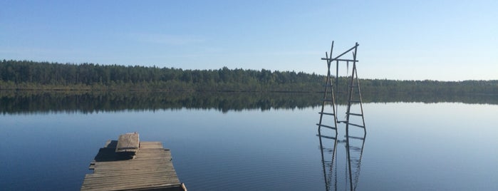 Озеро Вехкозеро is one of Tempat yang Disukai Vasiliy.