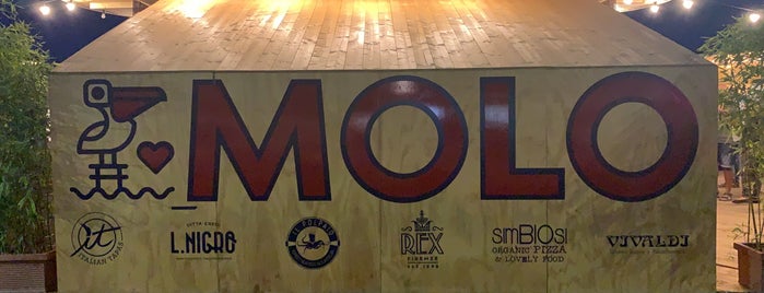 MOLO5 is one of Italy.