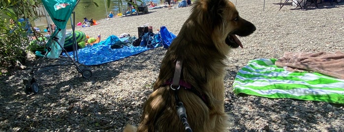 Steelhead Beach is one of Dog-friendly Trekking.