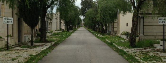 Bourjel (cimetière chrétien) is one of Grand Tunis : To Do List!.