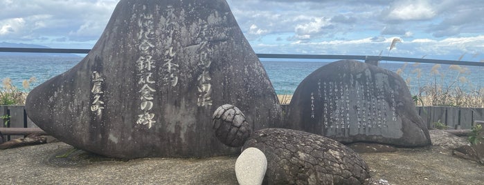 永田いなか浜 is one of Yakushima.