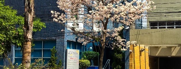 Avenida Pedroso de Morais is one of Locais curtidos por Luis.