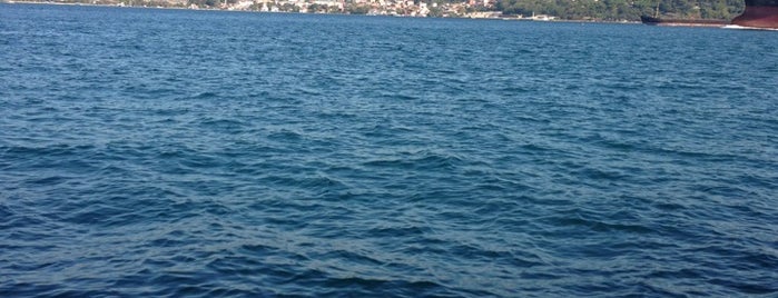 Yenikoy Liman is one of Orte, die )🅰n🅰n gefallen.