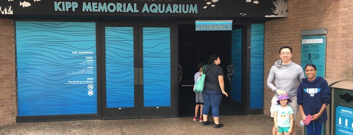Kipp Memorial Aquarium is one of Zoo..