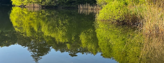 Dipsiz Göl is one of Yalova.