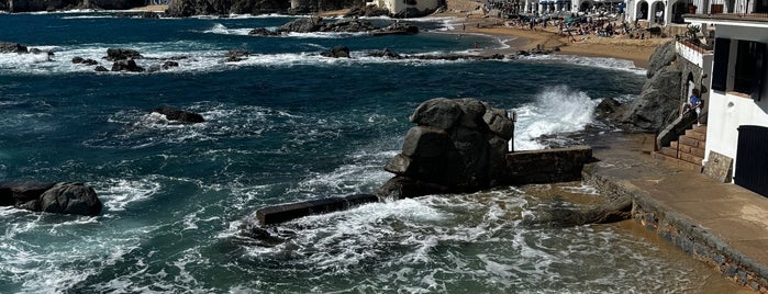 Platja de Port-Bo is one of Costa Brava.