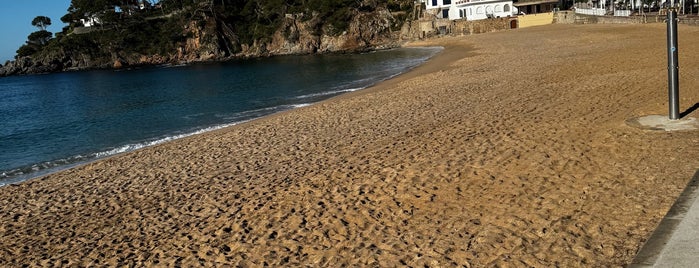Platja de Llafranc is one of Playa.
