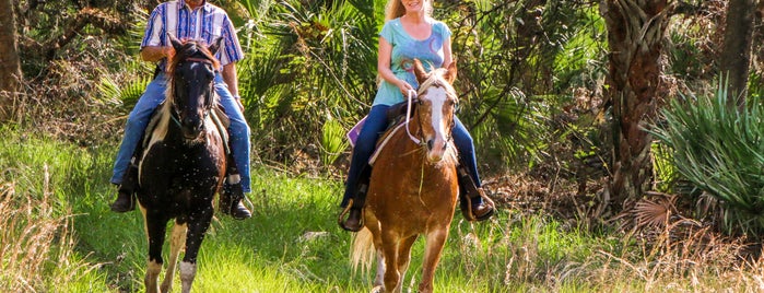 Wagon Wheel Horse Farm is one of Florida.