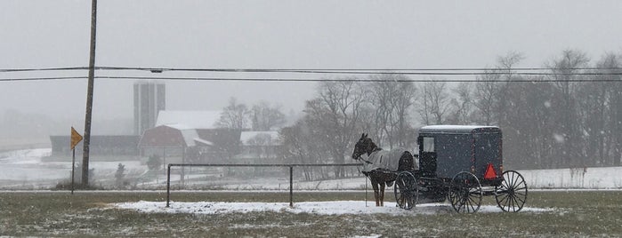 Horning's Country Store is one of Lugares favoritos de ENGMA.