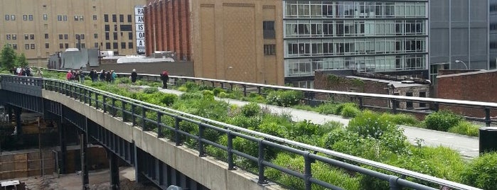 High Line is one of new york.