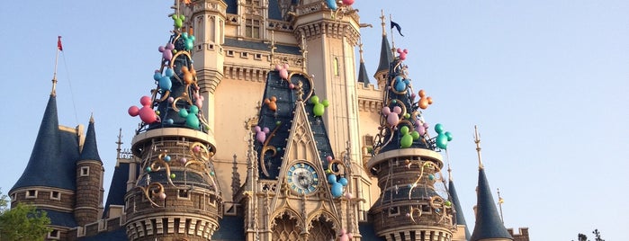 Tokyo Disneyland is one of Locais curtidos por Shank.