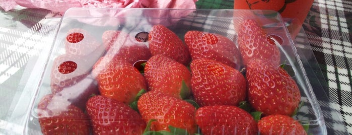 YZ Strawberry Farm is one of Cameron Highlands.