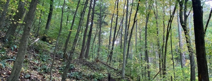 Reeds Gap State Park is one of SC - To Try.