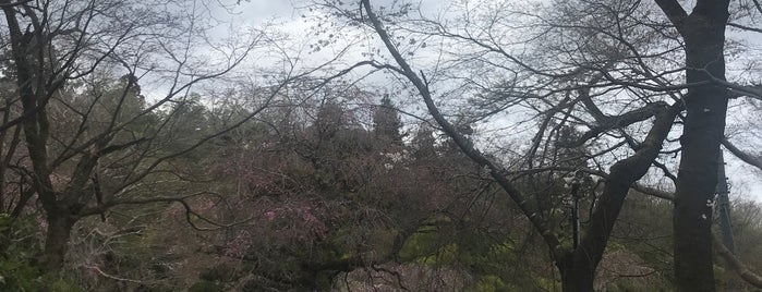 松風山 音楽寺 is one of was_temple.