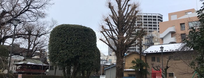 浦和中央公園 is one of 公園_埼玉県.