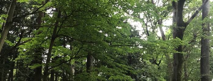 上尾丸山公園 is one of Lugares favoritos de Masahiro.