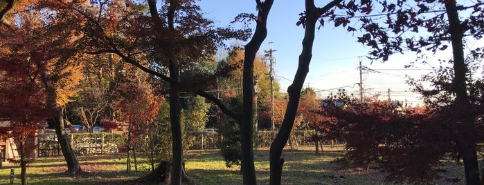 平林寺前交差点 is one of 埼玉県_新座市.