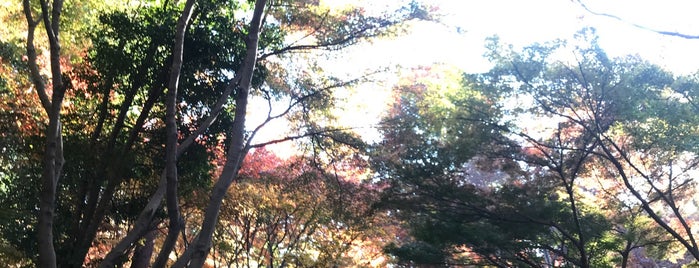 平林寺境内林 is one of 埼玉県_新座市.