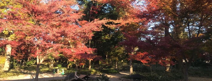 睡足軒の森 is one of 埼玉県_新座市.