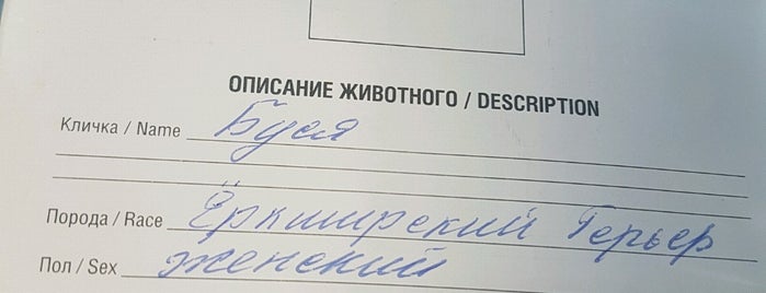 Государственная Ветеринарная Клиника is one of Еврейский Калининград / Jewish Kaliningrad.