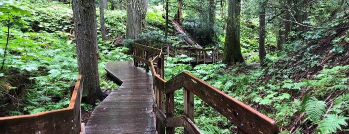 Giant Cedars Boardwalk is one of สถานที่ที่ Sean ถูกใจ.