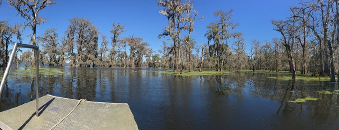 Leblanc Swamp Tours is one of Lugares favoritos de Matthieu.