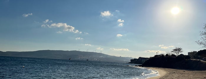 Tatlısu Liman Kampı is one of GİDİLİP/GEZİLMESİ/GÖRÜLMESİ GEREKEN YERLER-1.