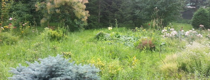 Омский городской дендрологический сад is one of Парки, скверы, сады и рощи Омска.